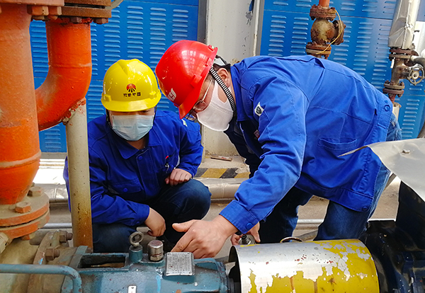 1585712797496690.jpeg 6.jpg