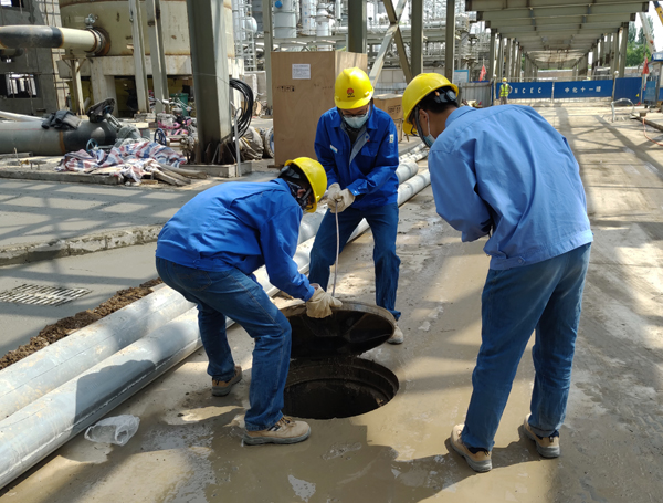 1588611269134433.jpeg 20.jpg