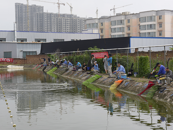 1595830935616889.jpeg _LZZ0488.JPG