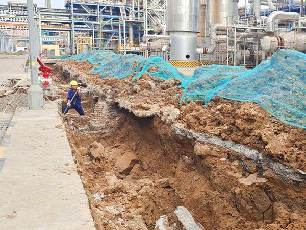 1601024877990474.jpeg 10df626bd1d62fe3bdc47713b5c83dc.jpg