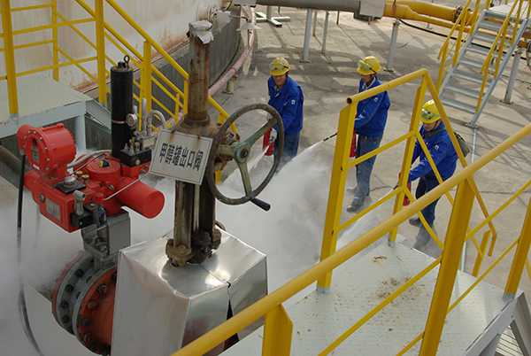 1603192838184856.jpeg IMGP5930.JPG