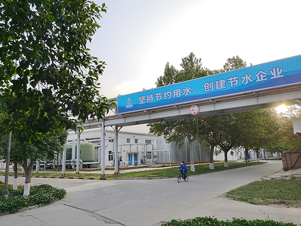 1611749355472425.jpeg 我的手機2020年6月2日 617.jpg