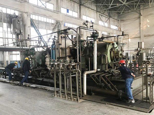 1611886895579121.png 稿件配照2.png