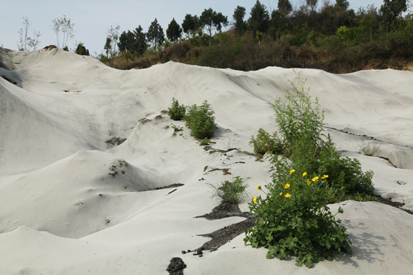 1618391841724457.jpeg IMG_1329600.jpg