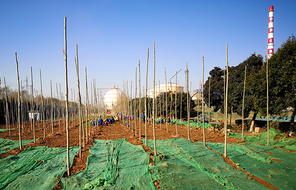 1638404262618686.jpeg 03d0f4b21a0e55ab340faf3873dafc2.jpg