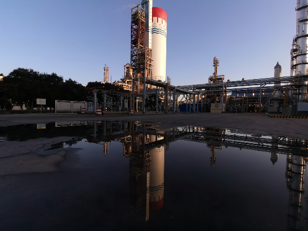 1652664218221275.png 他們說(1).png