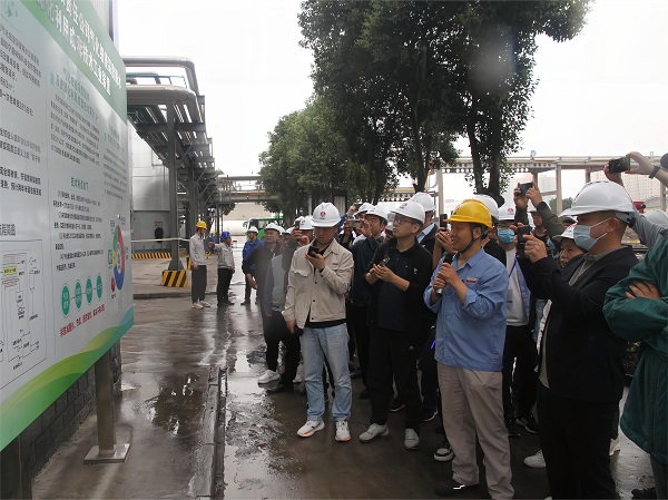 1685160737359675.jpeg IMG_0913.JPG