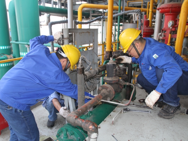 1697677975513250.jpeg IMG_4829.JPG