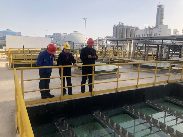 1700210268866668.jpeg 1.jpg