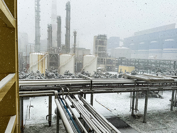 1705372259489514.jpeg 4adca207789222a175f34ed0d28f41b 600.jpg