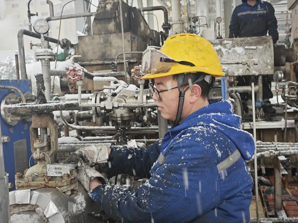 1705903528952809.jpeg 雪中“飛豬”——朱其軍.jpg