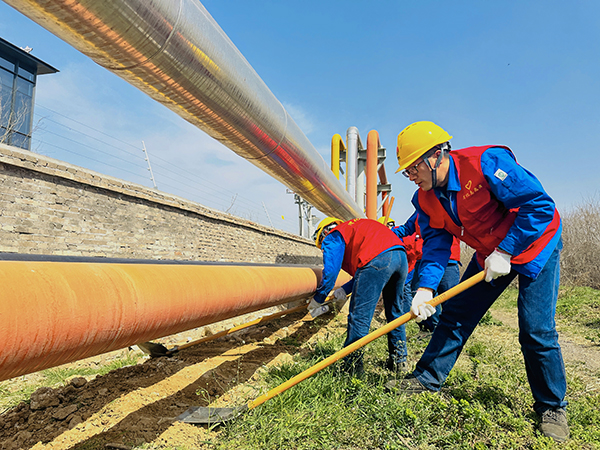 1711002988432824.jpeg 3月20日下午,物料車間黨支部開展了“清除雜草保安全 志愿服務顯擔當”主題活動,黨員及青年志愿者清理管線底部雜草 600.jpg