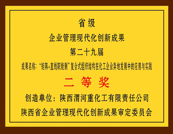 1714361707431564.jpeg 獎(jiǎng)牌.jpg