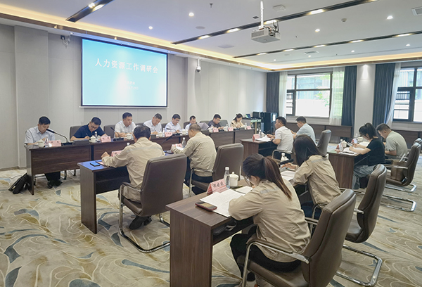 1716459080305399.jpeg 5月23日 陜煤集團(tuán)開展人力資源部工作調(diào)研.jpg