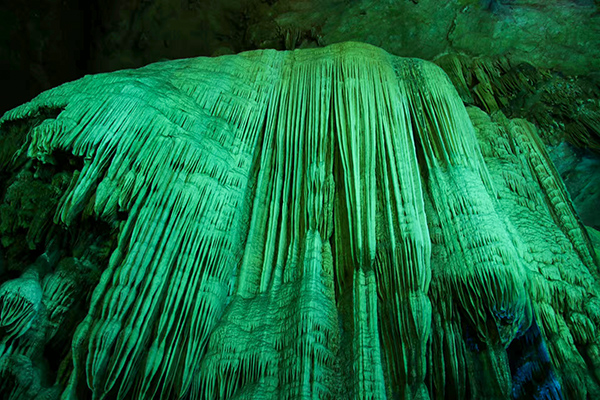 1728730711857792.jpeg 1 600.jpg