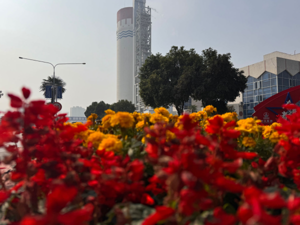 1730189706101949.png 玫瑰煙霞.png