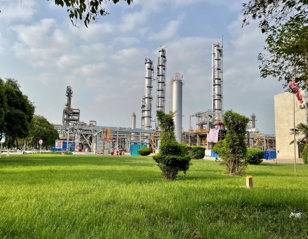 1730859558143651.jpeg 666.jpg