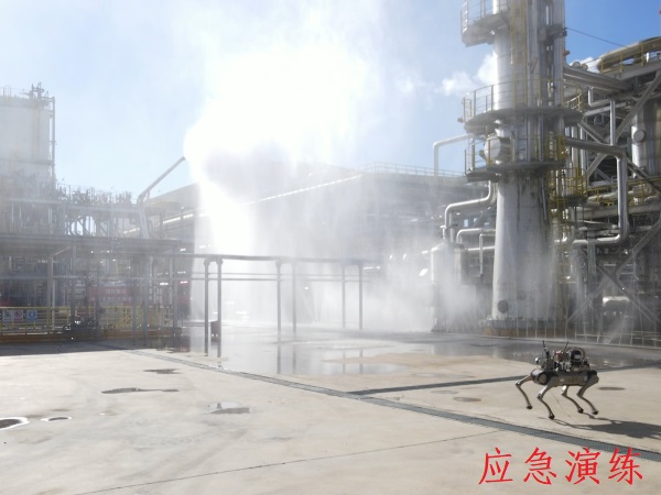 1733390144656575.jpeg 咸陽市2024年應(yīng)急演練1.jpg