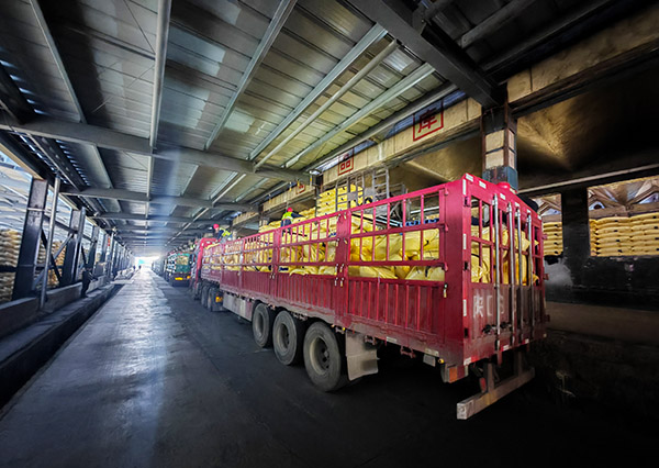 1739150552392252.jpeg 2月6日尿素裝車現(xiàn)場(chǎng)2.jpg