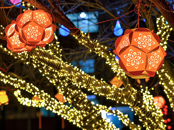 1739340993460594.jpeg 華燈璀璨 600.jpg