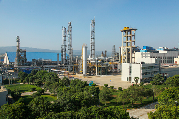 1739446831798698.jpeg IMG_0389.JPG