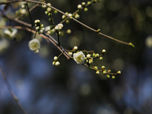 141741932493212875.jpg 微信圖片_20250314094947.jpg