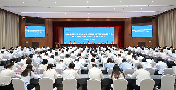 161750036266131118.png 20250613205848_37999.png