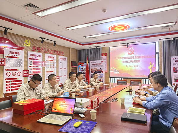 031751545625147350.jpg 2025年7月3日公司紀委對彬州聯(lián)合黨支部開展上半年黨風廉政建設責任制落實情況監(jiān)督檢查.jpg